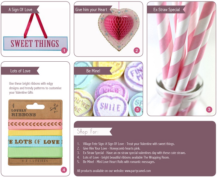 Party Supplies Dubai Party Camel